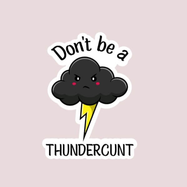 Don’t Be A Thundercunt Sticker – Funny Sticker