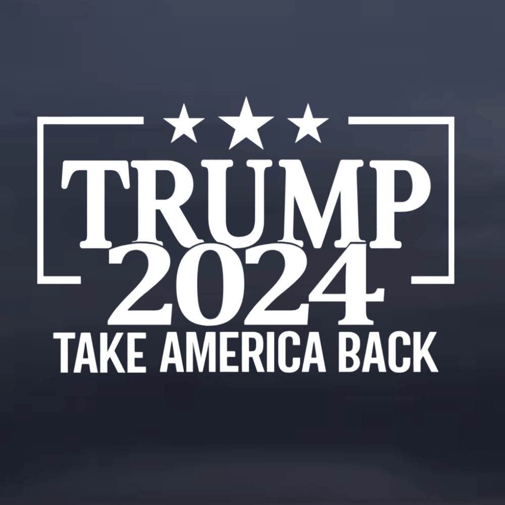 Take America Back Vinyl Decal